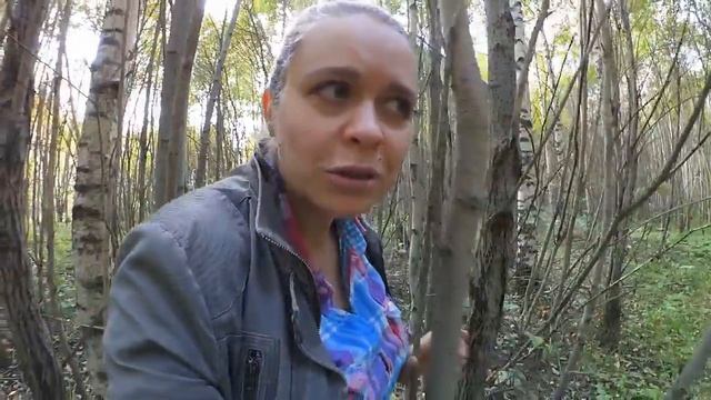 ЭТО ЛИСИЧКИ НАПРИМЕР.. смотреть онлайн