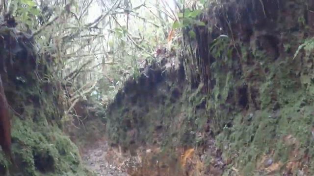 Kris Kremers & Lisanne Froon - El Pianista Full Trail