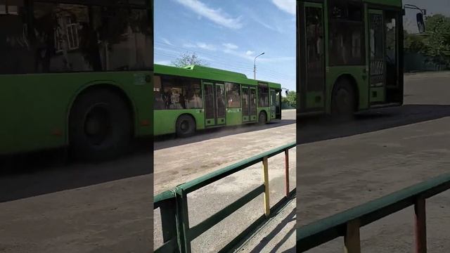 #автобусы #автобус #транспорт смотреть онлайн