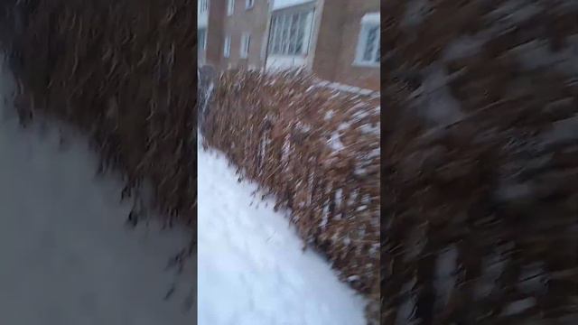 Зимний вид 6 декабря 2023 года смотреть онлайн