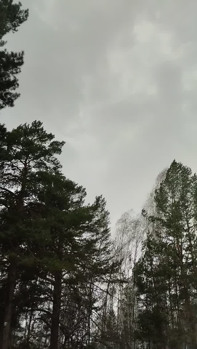 #shorts Как начиналась гроза со шквалистым ветром