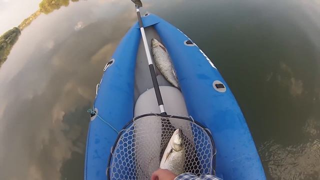 Жерех на спиннинг с каяка. Днестр, сентябрь 2016. смотреть онлайн