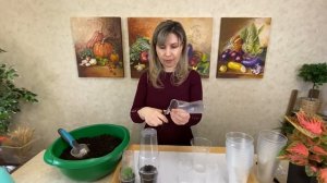 ОТЛИЧНАЯ ИДЕЯ ДЛЯ РАССАДЫ! МИНИ ПАРНИК ЗА НЕСКОЛЬКО СЕКУНД