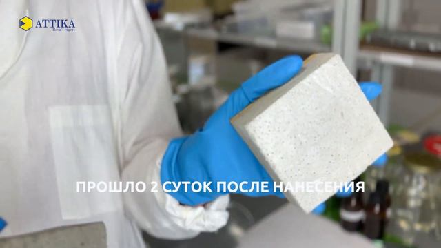 ATTALATE A 526 пропитка по бетону производство полимерных смол акриловые алкидные полиэфирные смолы смотреть онлайн