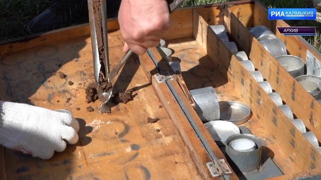 В уходящем году в республике выполнены все лесовосстановительные мероприятия