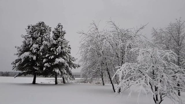 Окрестности Буден. Из лето в зиму. (Boden city, winter) Sweden. смотреть онлайн