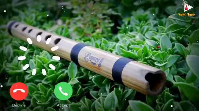 flute sounds смотреть онлайн