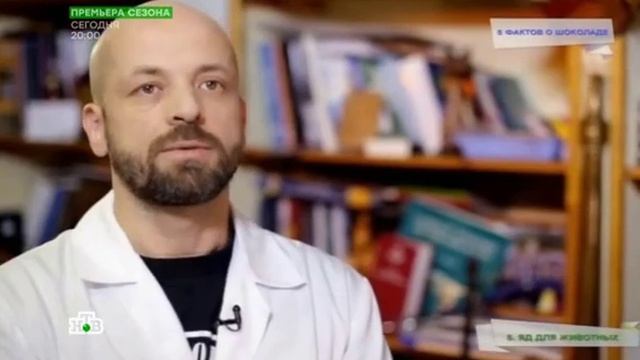 Что делать если собака съела шоколад смотреть онлайн