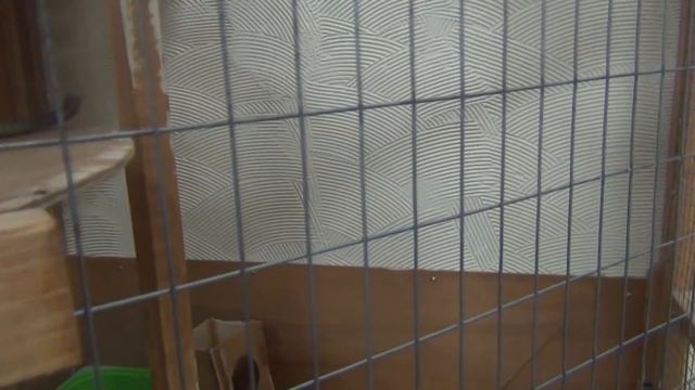 Трогательный зоопарк смотреть онлайн