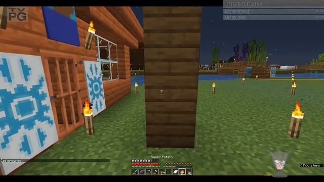 To do list at base and exploring - Minecraft SSP 1.14.2 JAVA Part 1 смотреть онлайн