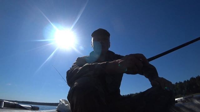 ловим уклейку на тенкару, окуня на уклейку. смотреть онлайн