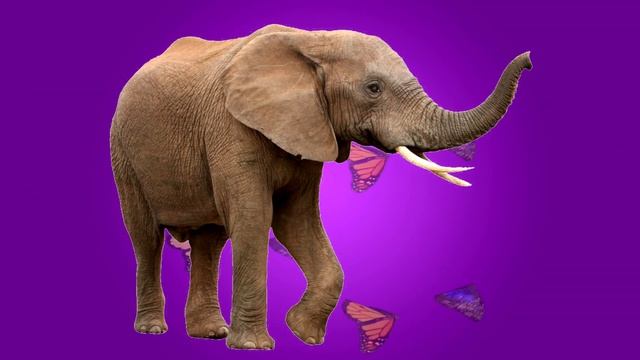 Звуки животных. Для детей Детская песня малышам