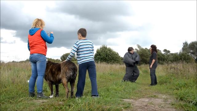 Занятие по защите с азиатами в Коломне - работа по ситуации смотреть онлайн