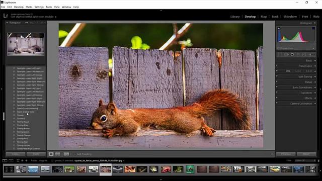 Adobe Photoshop Lightroom Classic CC 2018 avec preset смотреть онлайн