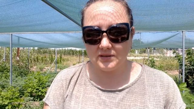 Как быстро удалить малину смотреть онлайн