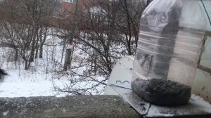 Ловушка для птиц из пластиковой бутылки / синица # поползень #