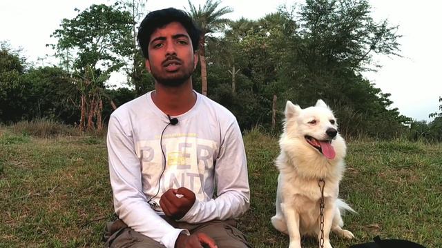 Raw chicken v/s boiled chicken. Which is better for dog. смотреть онлайн