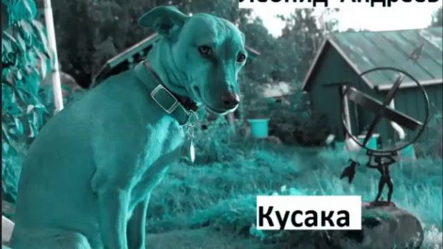 Краткое содержание Кусака. Андреев Л. Н. Пересказ рассказа за 2 минуты // Евгений Томсон смотреть онлайн