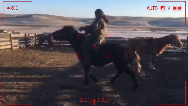 Обучаем лошадь.. смотреть онлайн