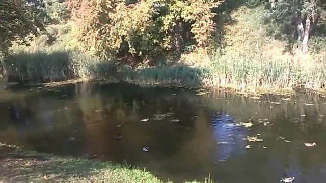 Брест смотреть онлайн