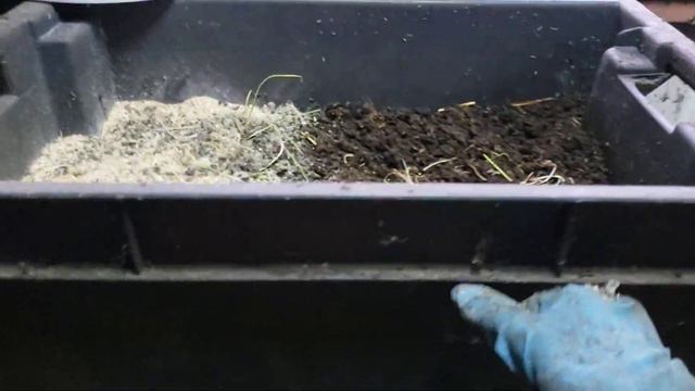 Работы с червем в осенне-зимний период. смотреть онлайн