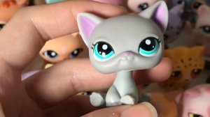 LPS: МОЯ КОЛЛЕКЦИЯ LITTLEST PET SHOP
