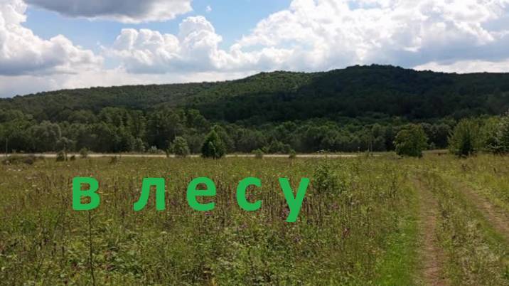 Красноусольск, В лесу смотреть онлайн