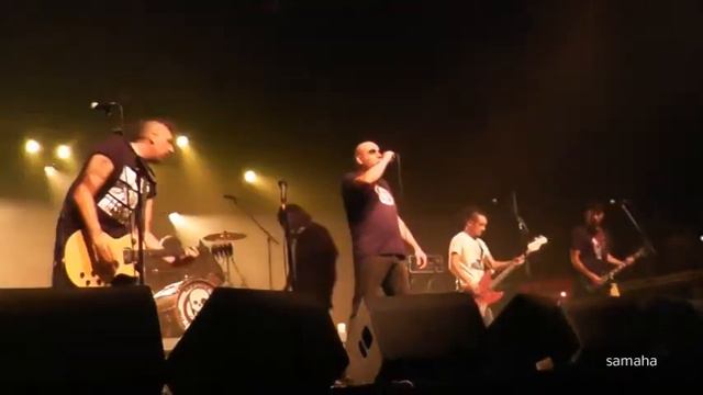 Brassen's not dead Gare au gorille Concert Live Festival EUROPIE Toulouse 2013 смотреть онлайн