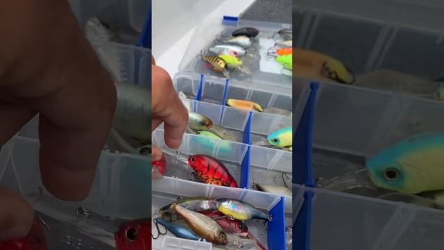 Обзор воблеров для ловли жереха весной в дельте Волги смотреть онлайн