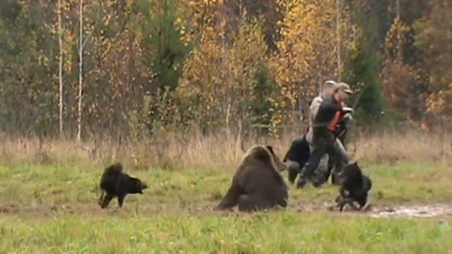 Медведь ЛРЕ п.ч.АРЕС +Амур Д-1. смотреть онлайн