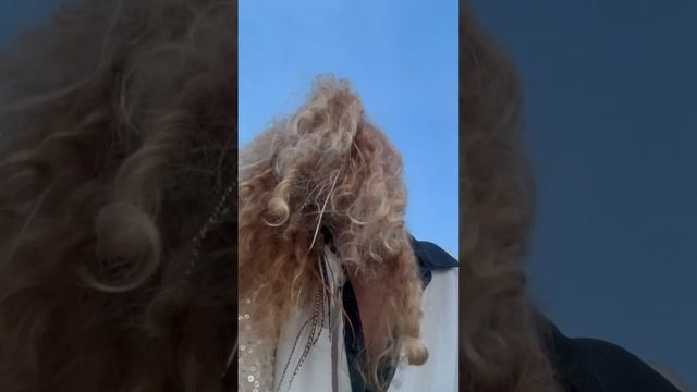 В память о моей собаке Марусе. Возвращайся, я узнаю тебя в любом проявлении смотреть онлайн