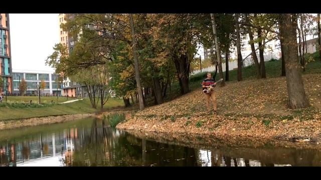 "Ромашки спрятались" - муз.Е.Птичкин ("Daisies hid" - music by E.Ptichkin). Исполняет Андрей Чайкин смотреть онлайн