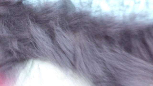 FELTING & ВАЛЯНИЕ: Как свалять палантин. 6 Урок. смотреть онлайн