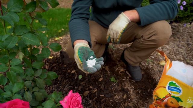 СтройЗаказчик