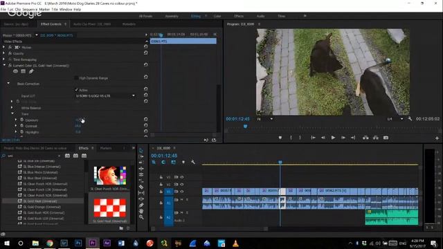 My Editing Process - Live Editing Session смотреть онлайн