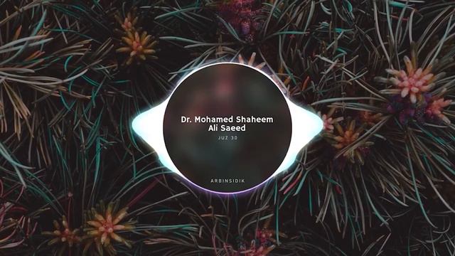Juz 30 (Juz 'Amma) - Dr. Mohamed Shaheem Ali Saeed | Audio Visualization | Listen Quran