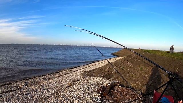 VERNS SEA FISHING | BEST COD CATCHING ANOTHER PERSONNEL BEST WHILST SEA FISHING IN THE UK смотреть онлайн