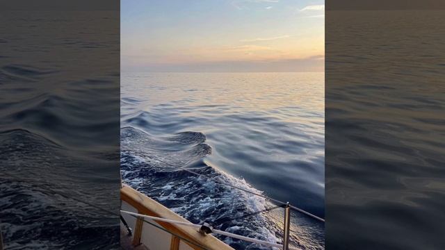 СУРА ЯСИН. Омар Хишам смотреть онлайн