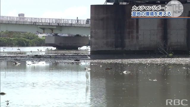 漫湖の環境を見つめる смотреть онлайн
