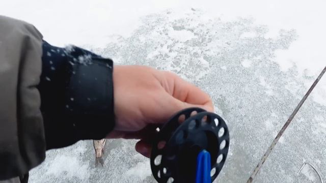 БЕШЕНЫЙ КЛЁВ ЩУКИ НА МЕЛИ. ОТКРЫТИЕ СЕЗОНА 22-23 г. Оз. ВОЛГО. ПЕРВЫЙ ТРОФЕЙ. 26.11.2022. смотреть онлайн