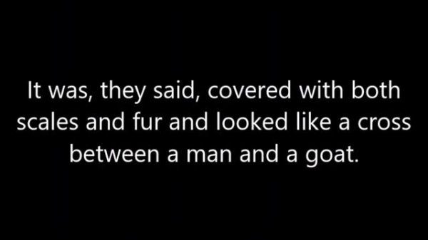 Sightings Of Lake Worth Monster: A Mysterious Creature Was Photographed