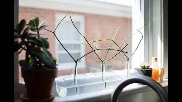 Interior Design Boho Minimal Plant Filled Home смотреть онлайн