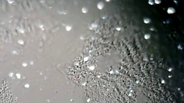 Повреждение ЛКП подобно от птичьего помета смотреть онлайн