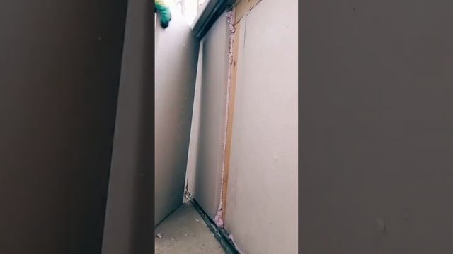 Утепление балкона