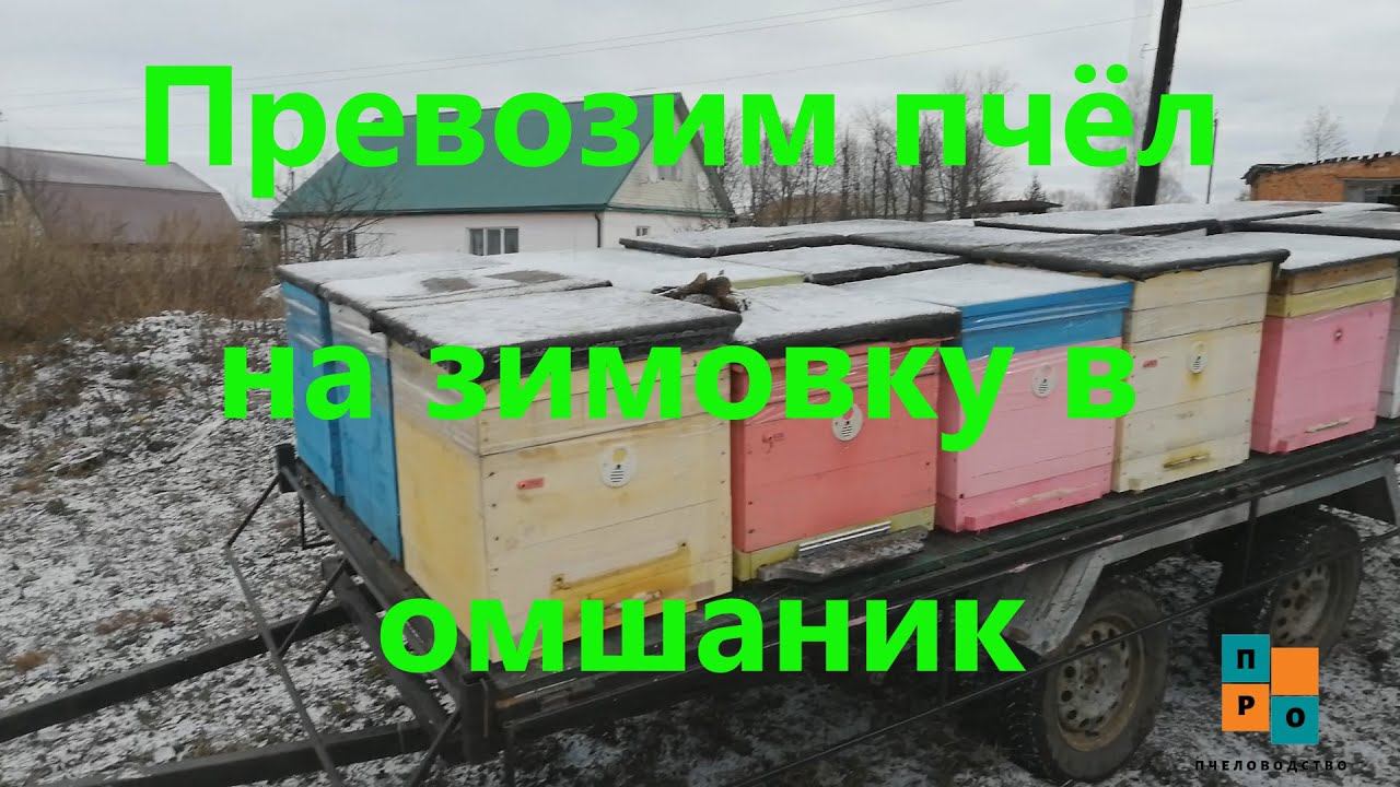 Увозим пчёл в омшаник. Самодельный прицеп под полной нагрузкой, тест-драйв. смотреть онлайн