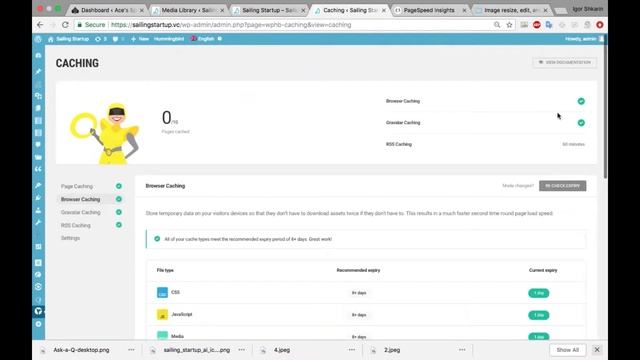 Оптимизация сайта на CMS WordPress Sailing Startup | acesspades.com смотреть онлайн