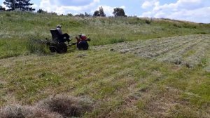 Сгребаем сено самодельными граблями для мотоблока