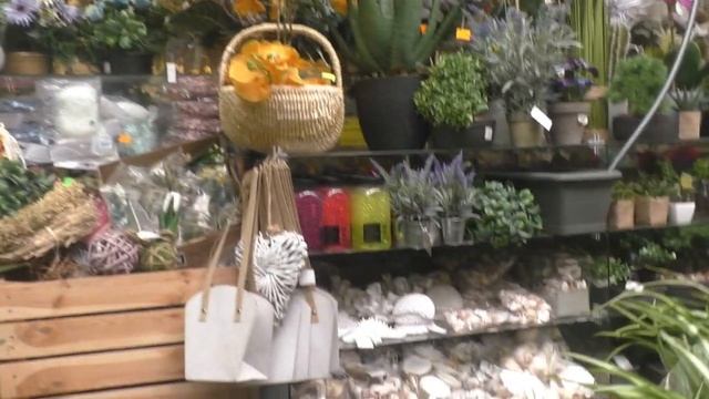 Торговый Центр SAS в Бяла-Подляске.  Что и где купить в Польше? Poland