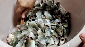 Консервированный Карась своими руками - ОГОНЬ? // автоклав   БЕЛОРУССКИЙ //