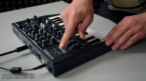 ARTURIA MICROBRUTE - аналоговый синтезатор по доступной цене